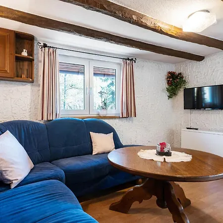 In Sauerland Nahe Winterberg Skifahren Ferienhaus *