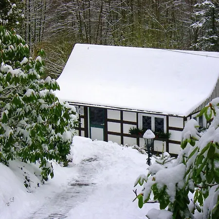 Ferienhaus In Sauerland Nahe Winterberg Skifahren *