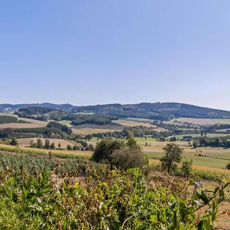Nyaraló In Sauerland Nahe Winterberg Skifahren Schmallenberg