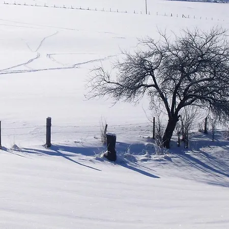 In Sauerland Nahe Winterberg Skifahren Ferienhaus *