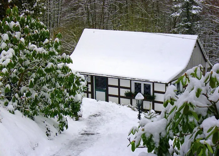 Nyaraló In Sauerland Nahe Winterberg Skifahren *