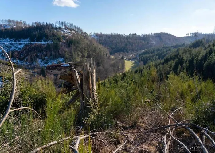 In Sauerland Nahe Winterberg Skifahren Schmallenberg