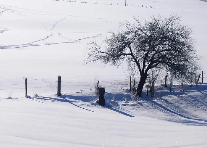 In Sauerland Nahe Winterberg Skifahren Nyaraló *